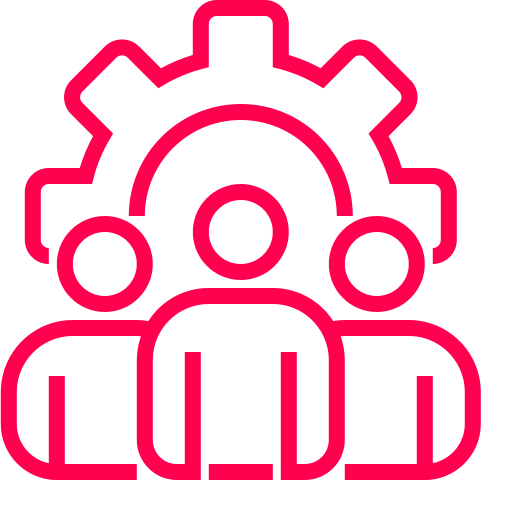 Experienced Team
